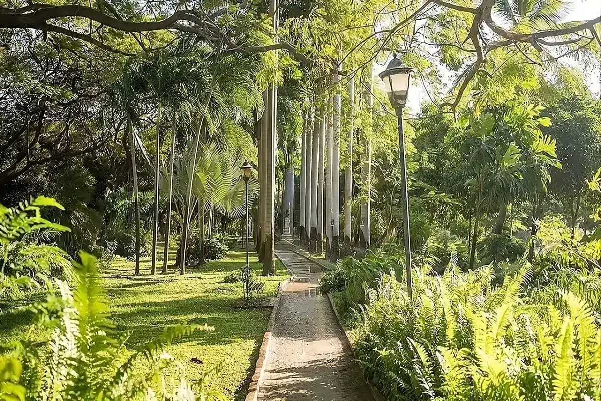 Tour Santa Marta desde Cartagena - Image 18