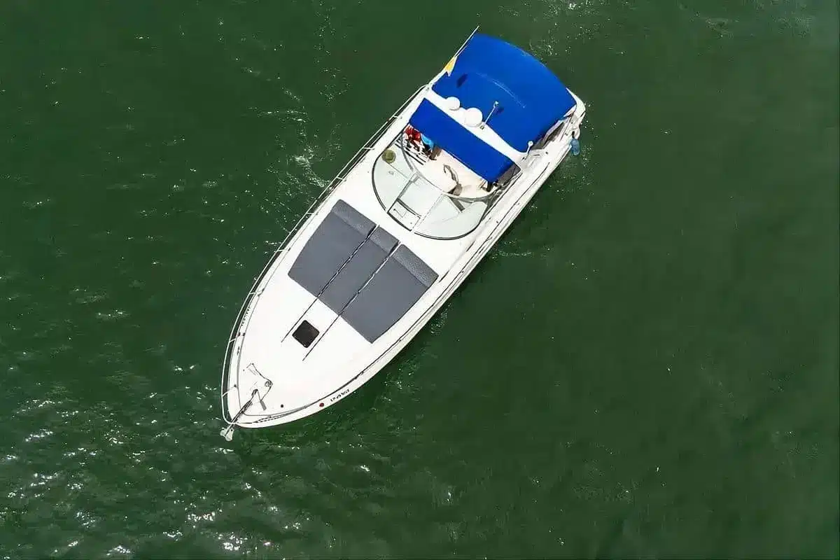 Yate Luz IV - Image 5