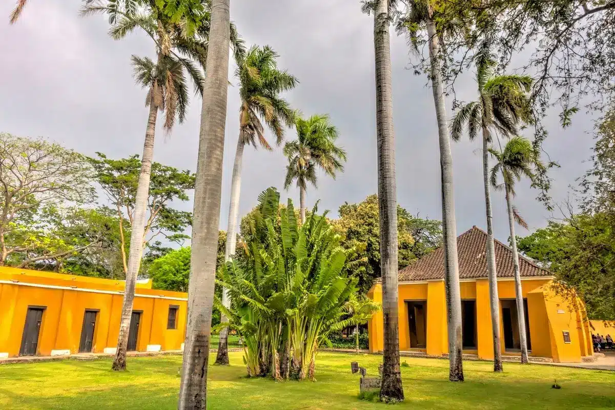 Tour Santa Marta desde Cartagena - Image 19