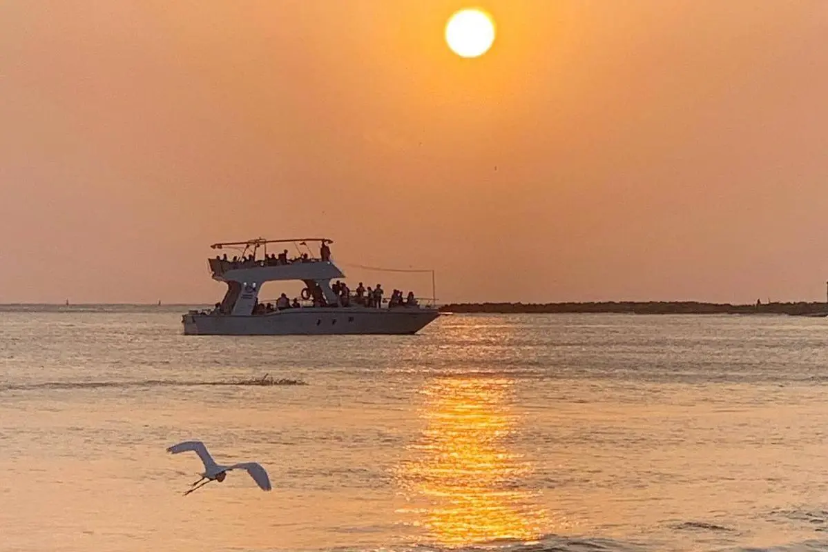 Atardecer Sibarita Express - Image 9