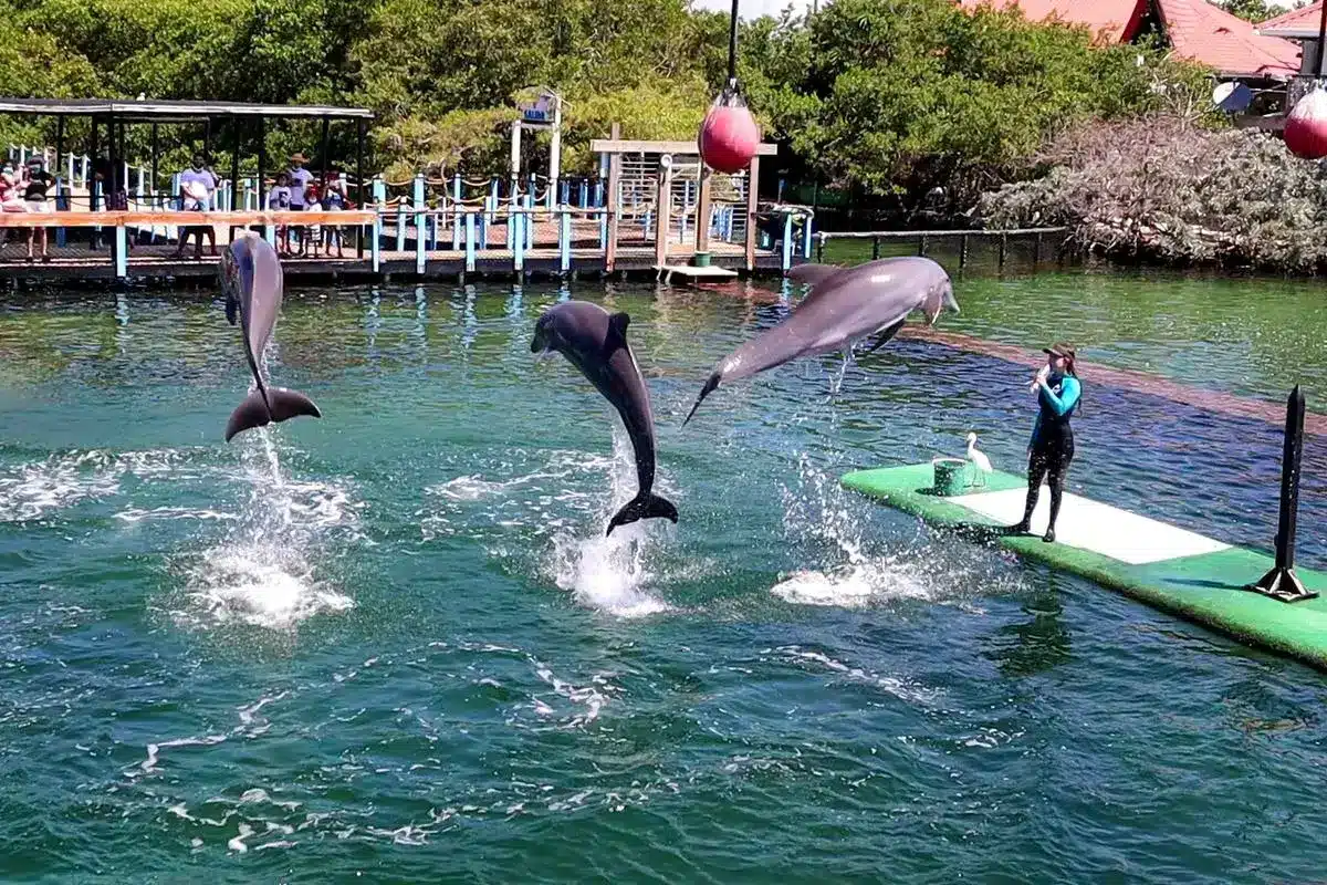 Tour 4 Destinos + Oceanario - Image 8