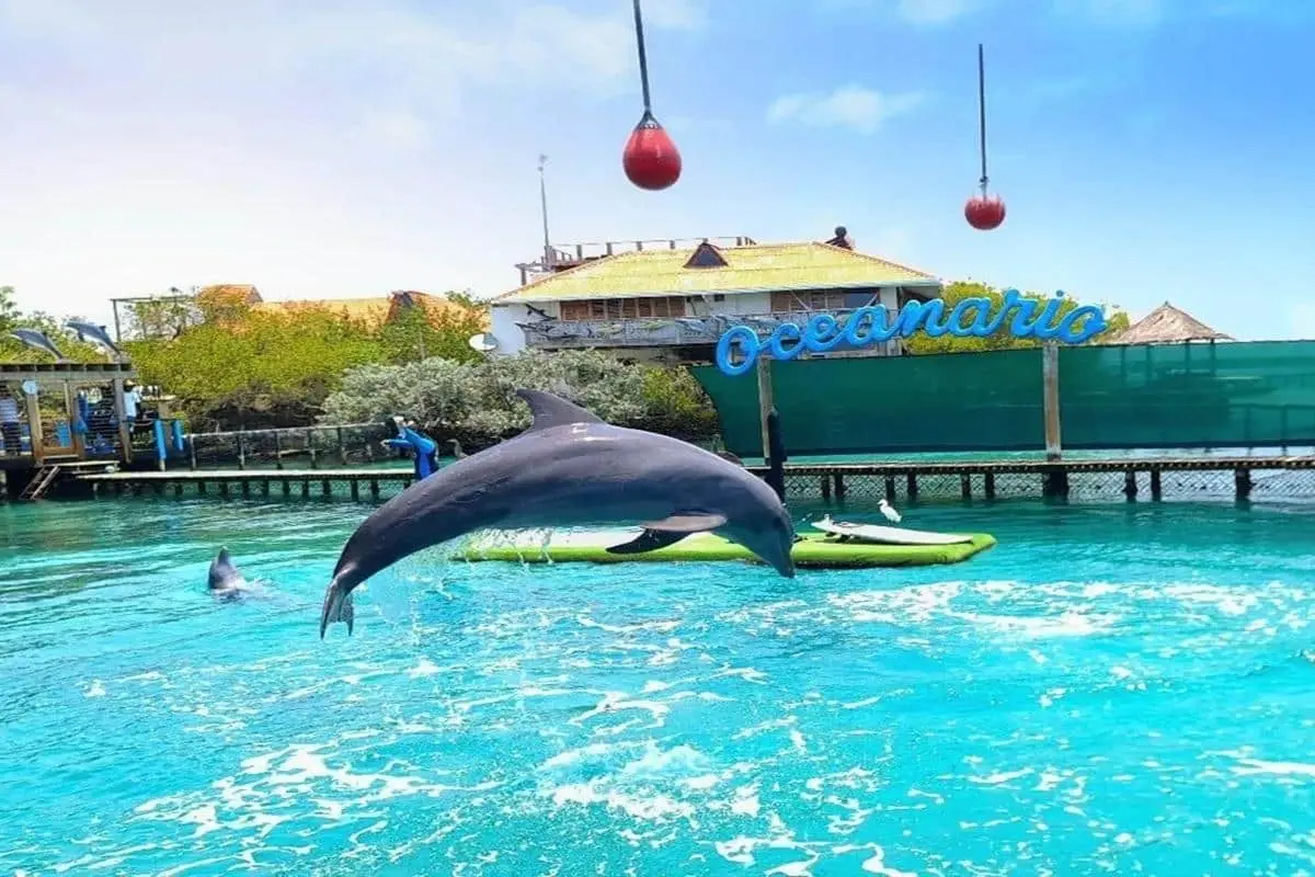 Tour 4 Destinos + Oceanario